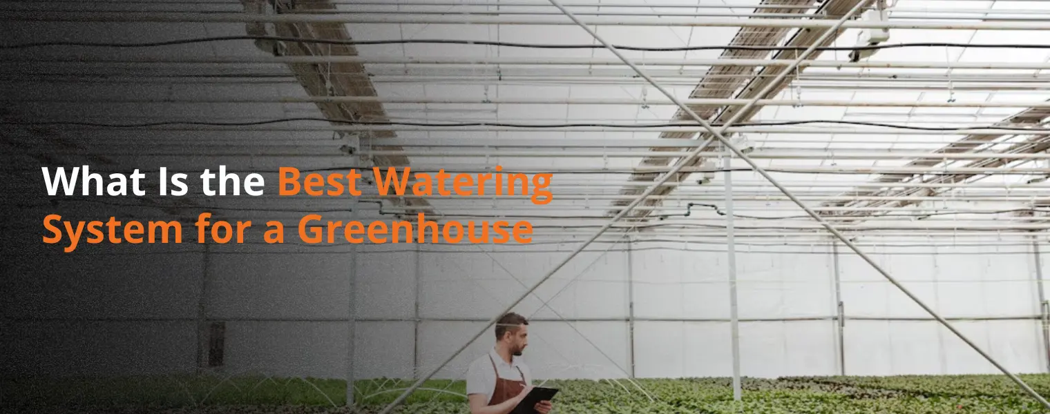 What Is the Best Watering System for a Greenhouse
